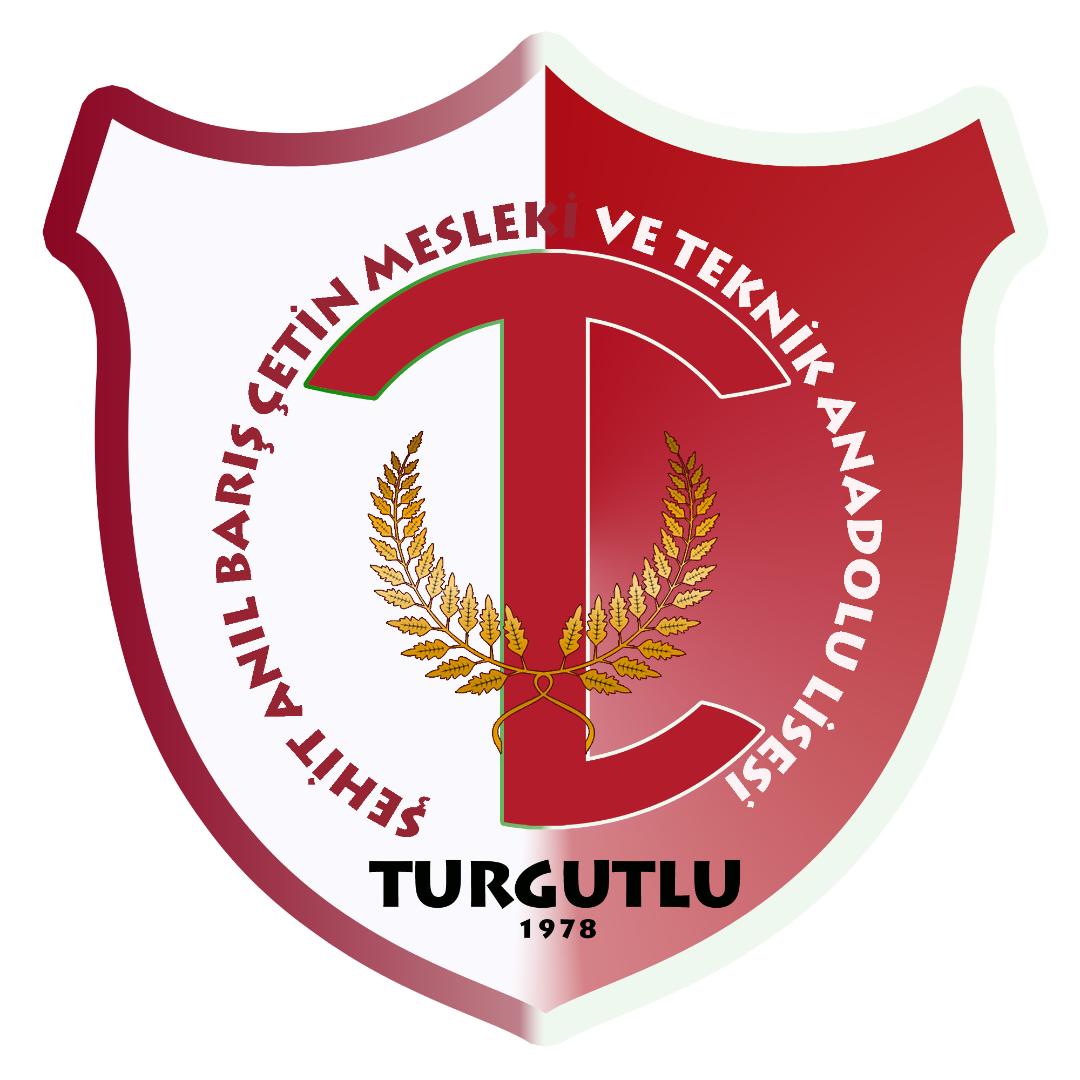 Şht Anıl Barış Çetin Mtal
