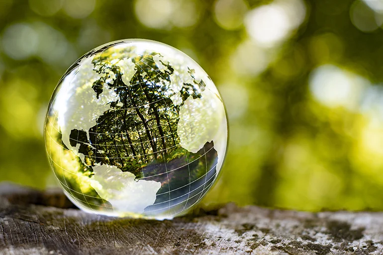 Desenvolvimento Sustentável